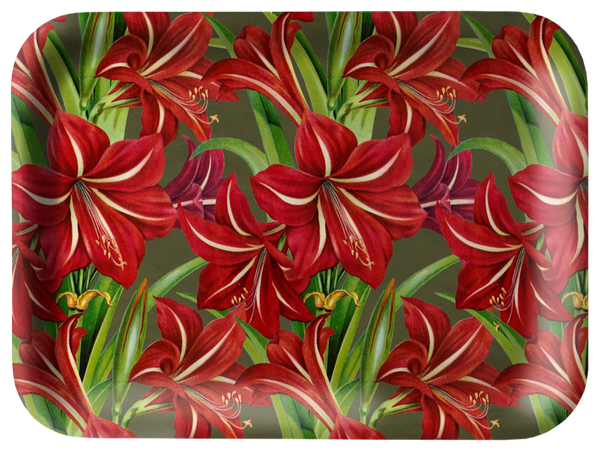 Bricka med julblommor Amaryllis