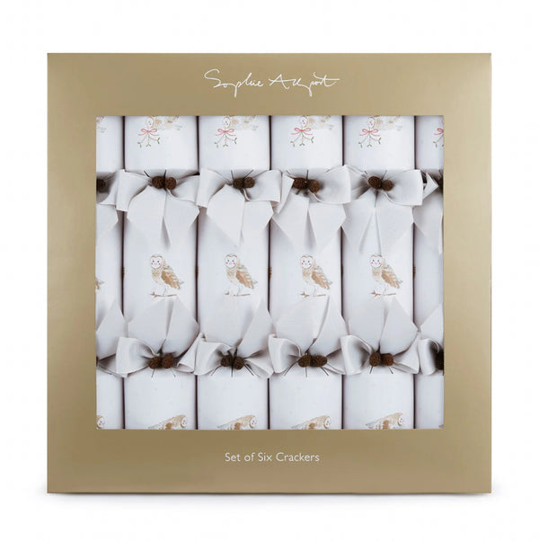 Christmas Crackers Snowy Owls - Sophie Allport 6p