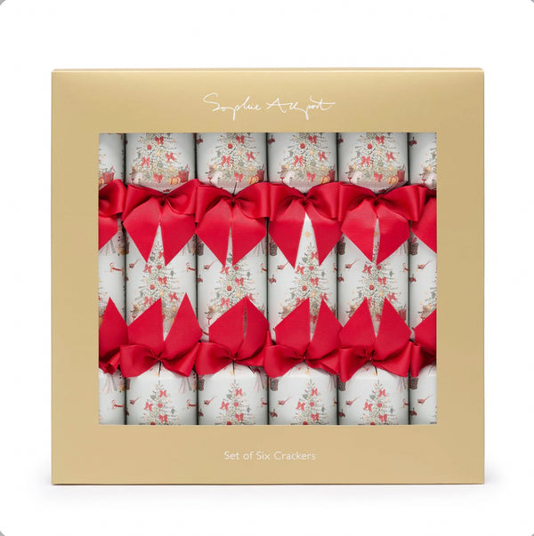 Christmas Crackers Cosy Christmas - Sophie Allport 6p