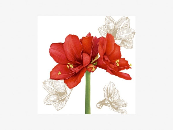 Servetter Amaryllis