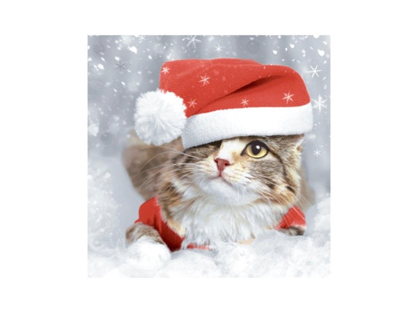 Servetter Kitten Christmas